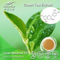 100% Pure Green Tea Extract (Tea Polyphenols 20%~98%, Catechins 20%~80%, EGCG 10%~50%)